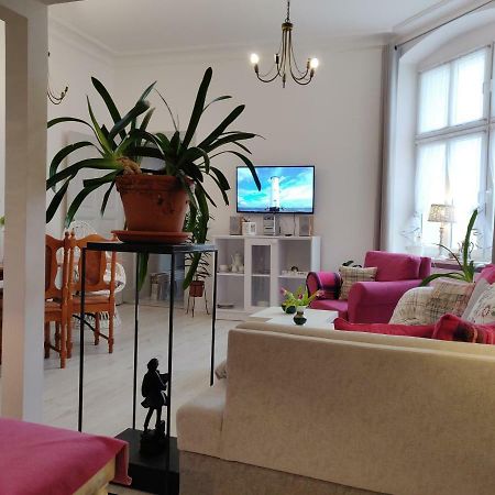 Apartament Helena Apartment ชวีโนวิชแจ ภายนอก รูปภาพ